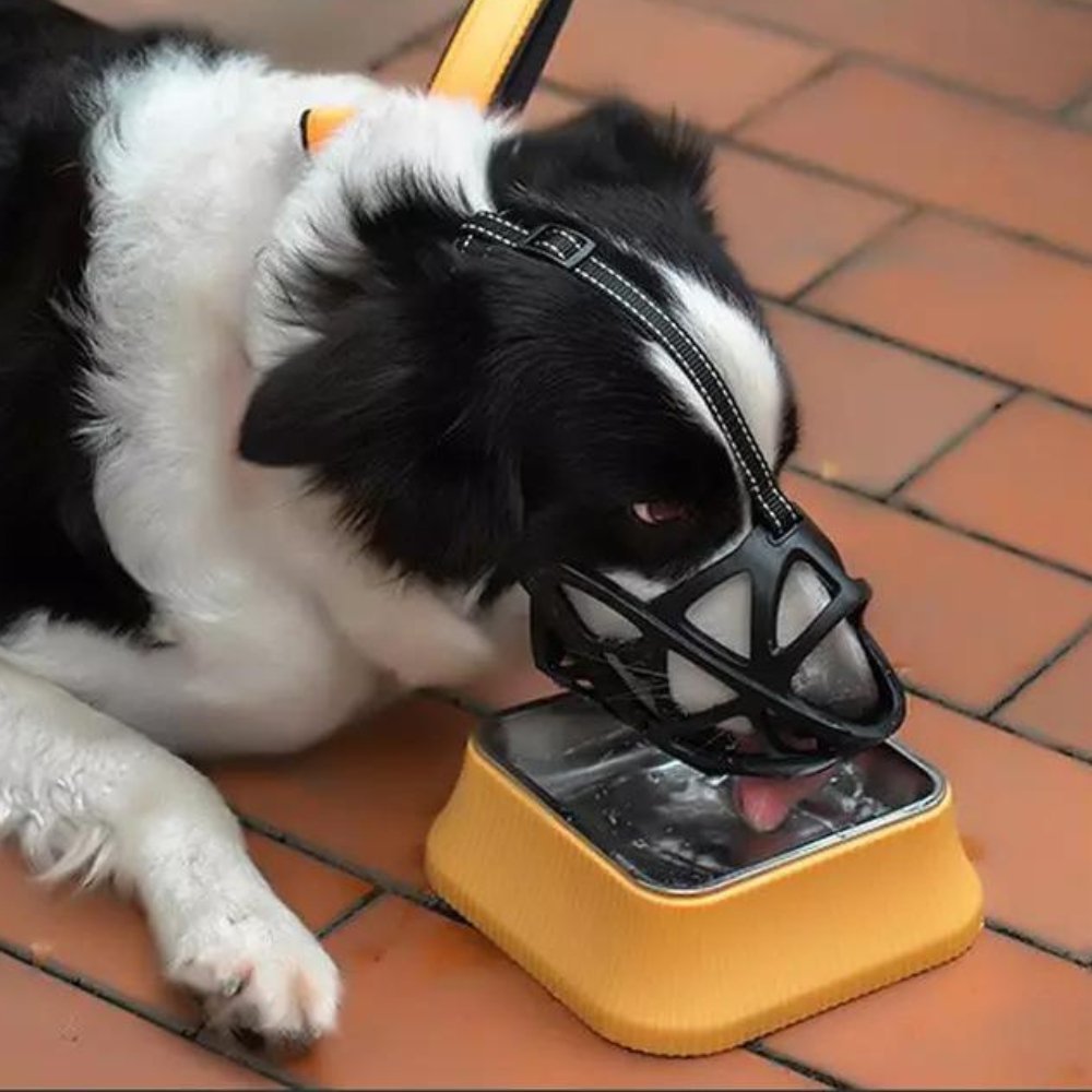Měkký látkový náhubek pro psy — nastavitelná prodyšná síťovina pro veterináře a úpravu srsti