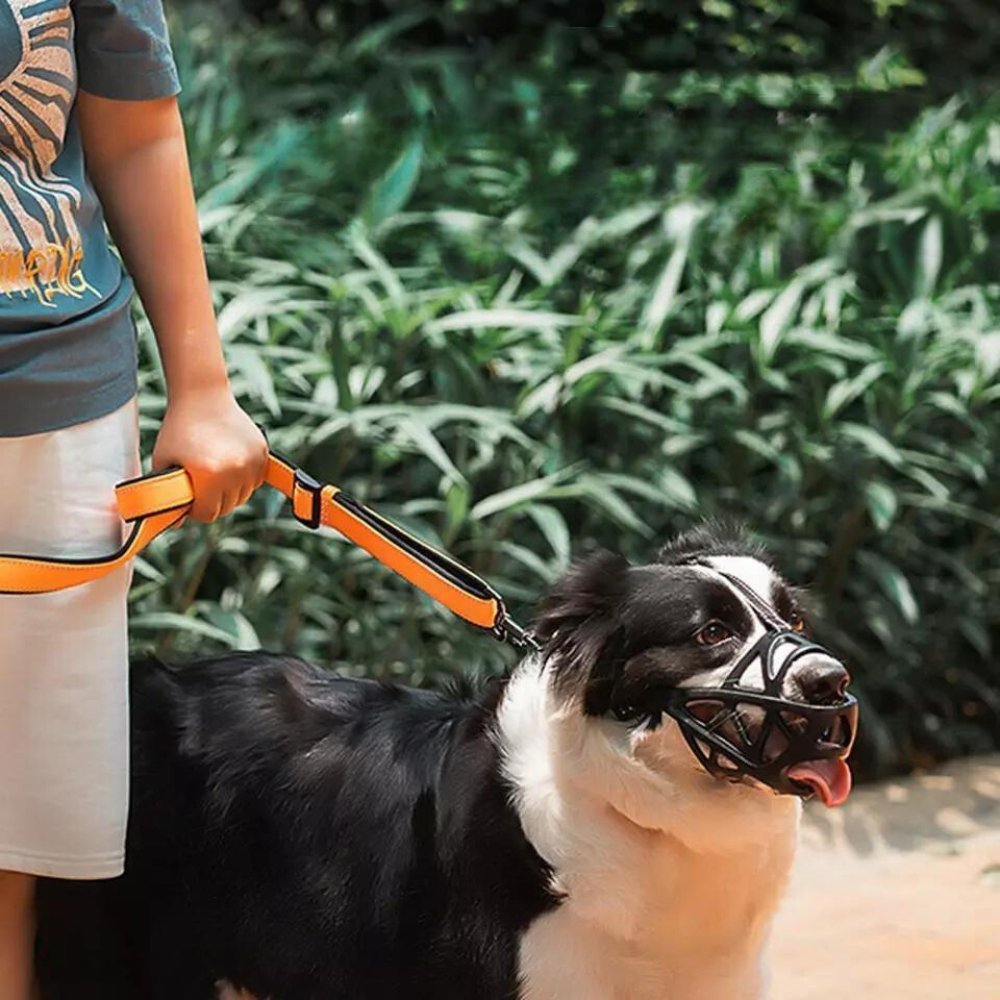 Měkký látkový náhubek pro psy — nastavitelná prodyšná síťovina pro veterináře a úpravu srsti