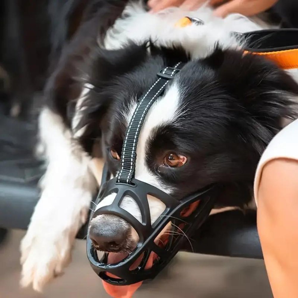 Měkký látkový náhubek pro psy — nastavitelná prodyšná síťovina pro veterináře a úpravu srsti