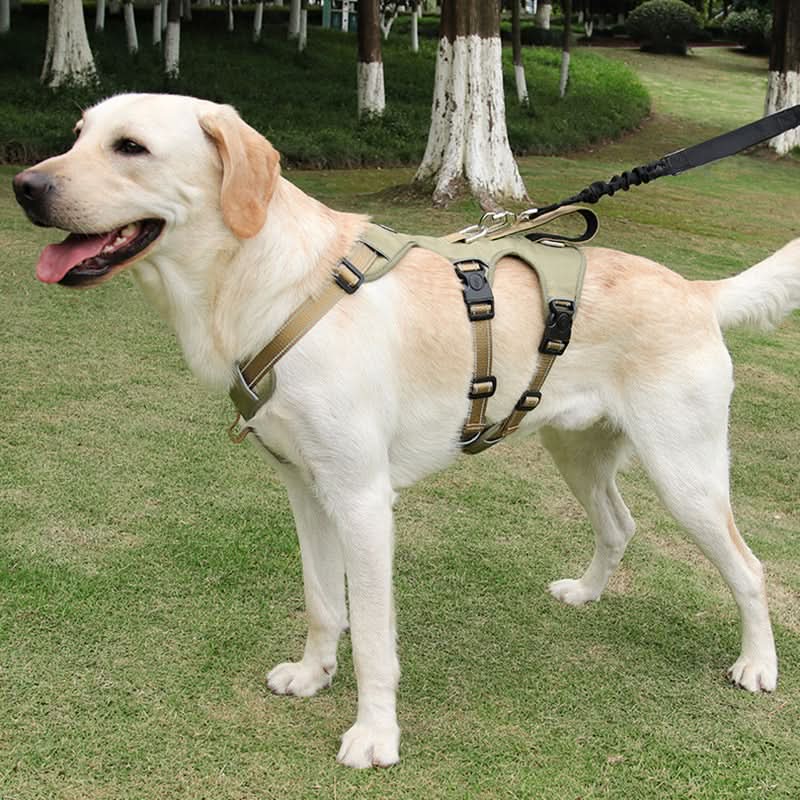 CalmWalk 反射ナイロン製犬用ハーネス — 引っ張り防止・脱走防止デザイン