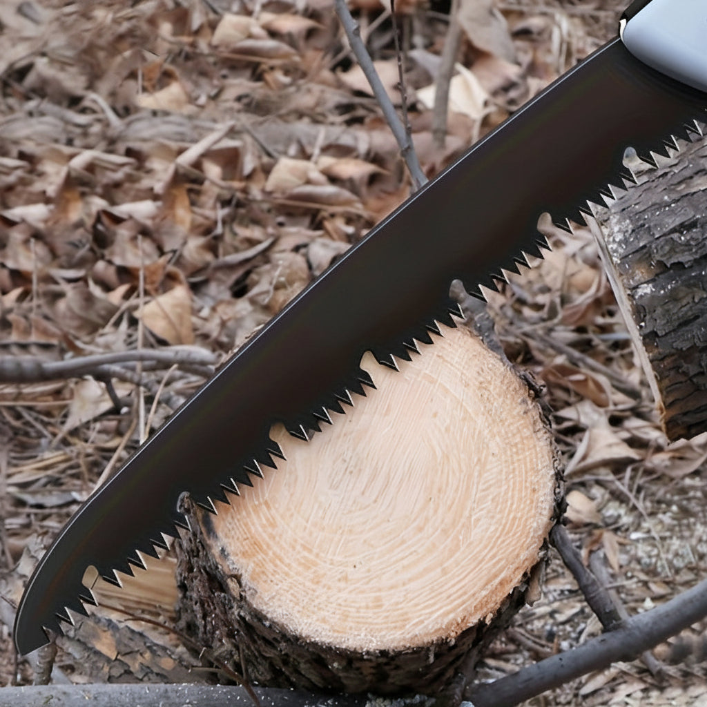Precision Wood Cutting Power & Control - Euroselle