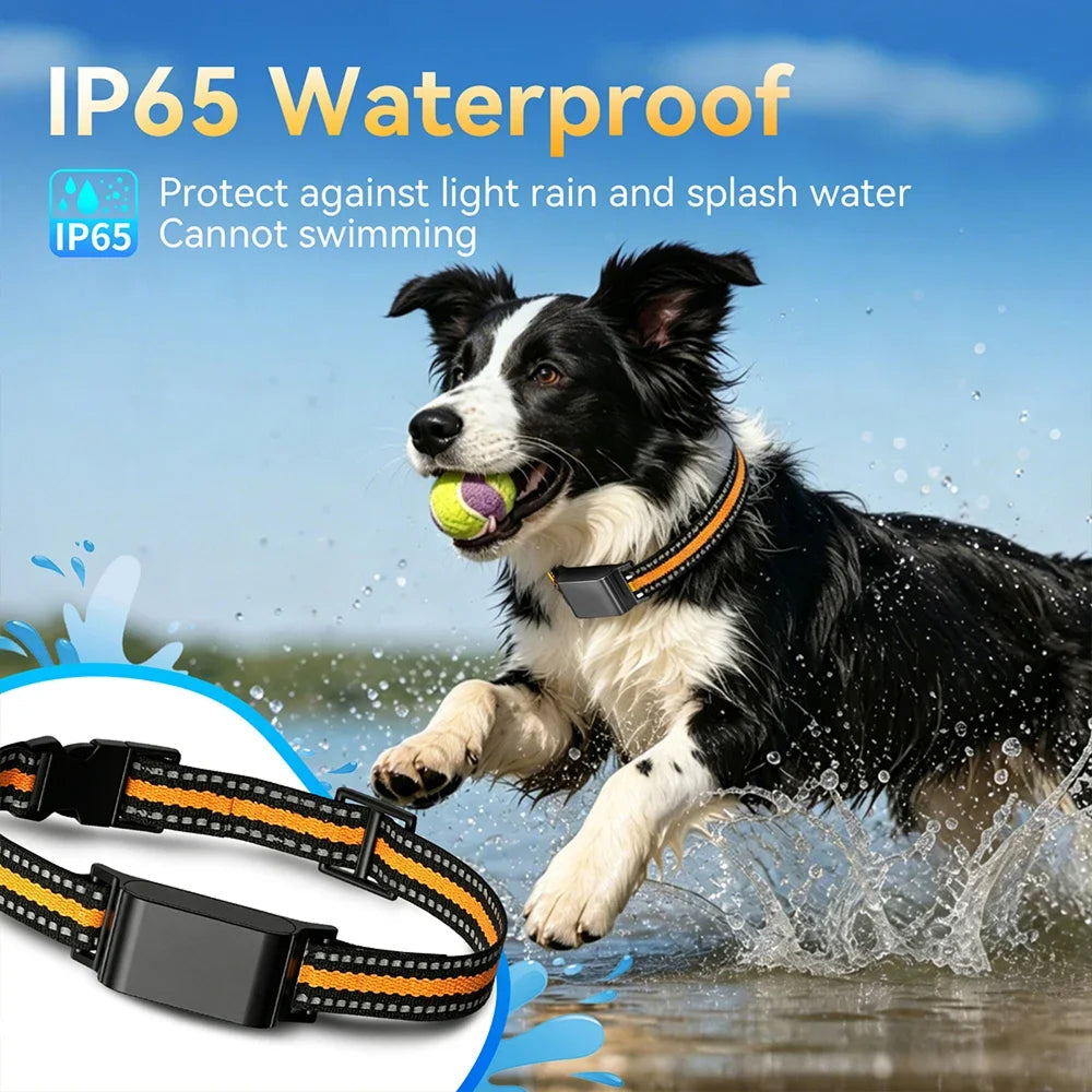 Cat Collar GPS Location Monitor — Geofence Alerts & Route History