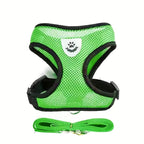 Reflective Pet Vest with Leash for Dogs and Cats - Euroselle
