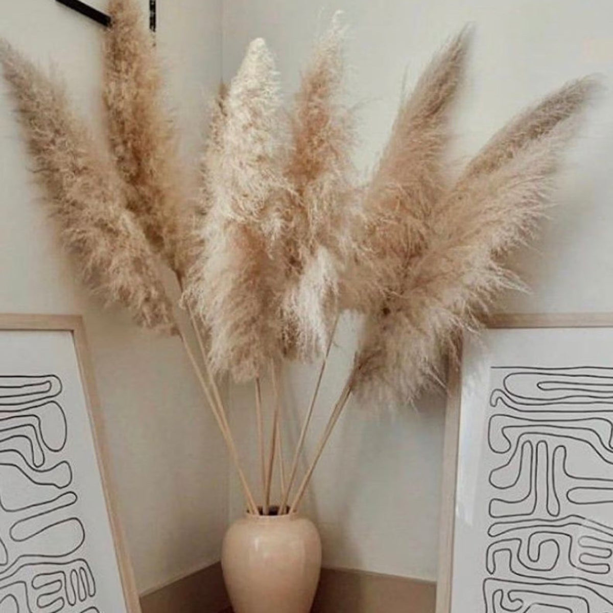 Confezione da 10 steli di erba della Pampa artificiale — canne soffici beige naturale