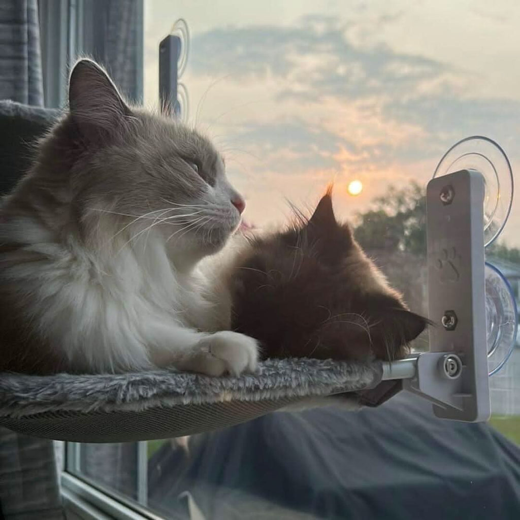 WhiskerNest Foldable Cat Hammock — Compact, Space-Saving Perch