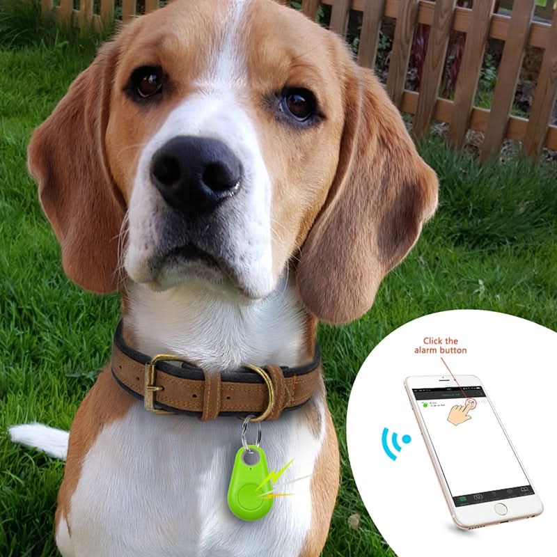 Dispozitiv GPS TrailLink pentru urmărirea animalelor de companie — monitorizare în timp real, zone geolocalizate configurabile
