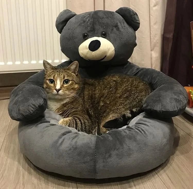CozyNest Cat Bed — Raised Edge Design, Removable Washable Cover