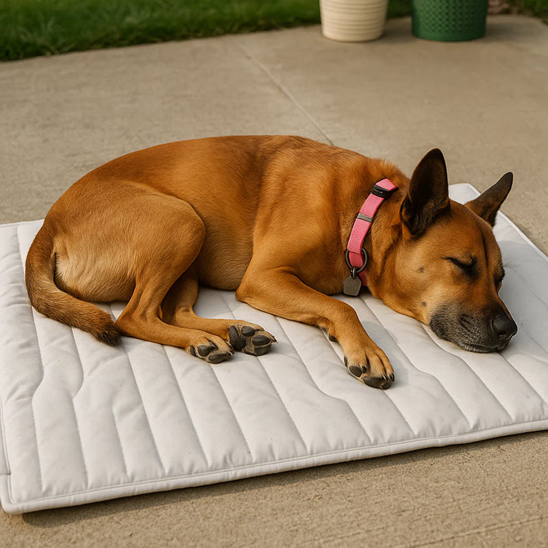 Self-Activating Cooling Pet Bed Pad — Washable, Portable Design