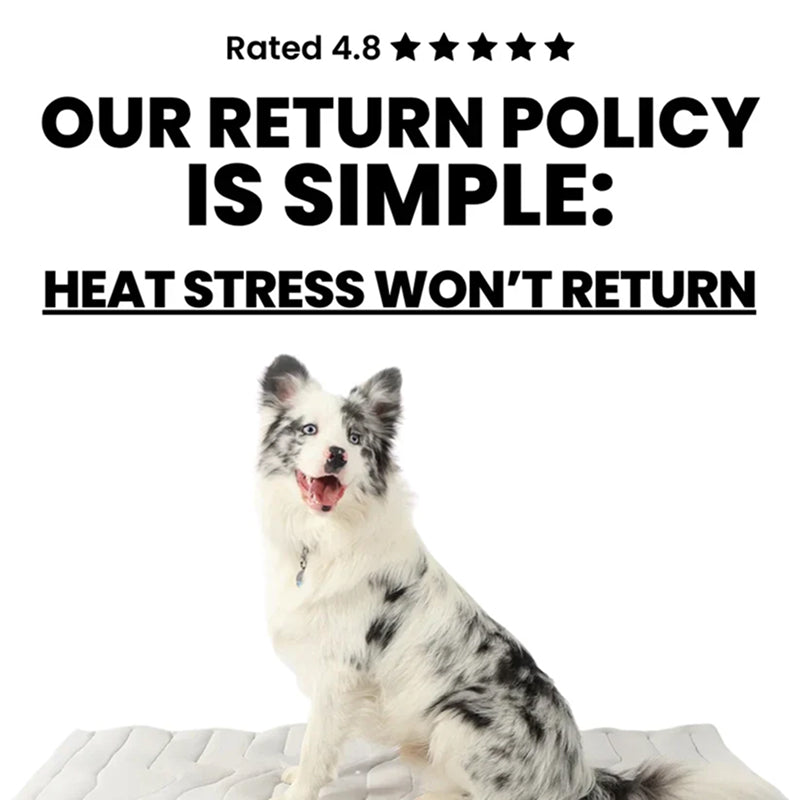 Self-Activating Cooling Pet Bed Pad — Washable, Portable Design