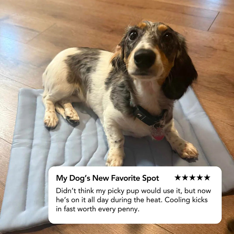 Self-Activating Cooling Pet Bed Pad — Washable, Portable Design
