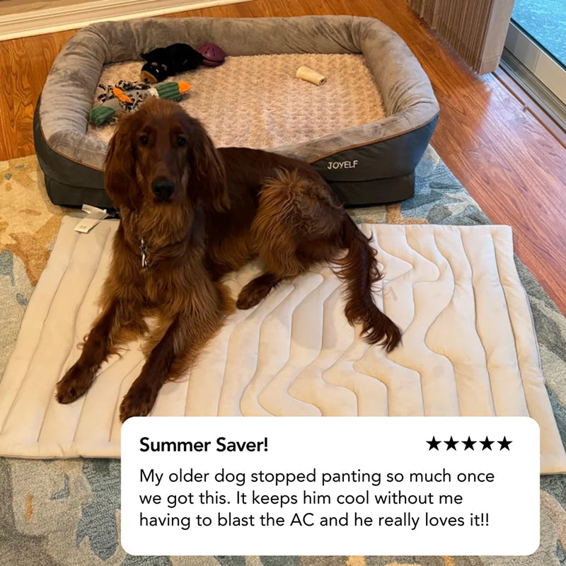 Self-Activating Cooling Pet Bed Pad — Washable, Portable Design