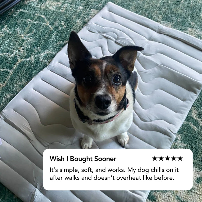 Self-Activating Cooling Pet Bed Pad — Washable, Portable Design