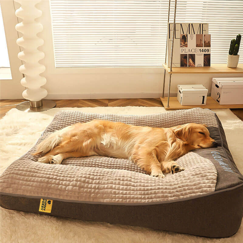 Orthopedic Dog Bed — Raised Pillow Support for Joint Relief