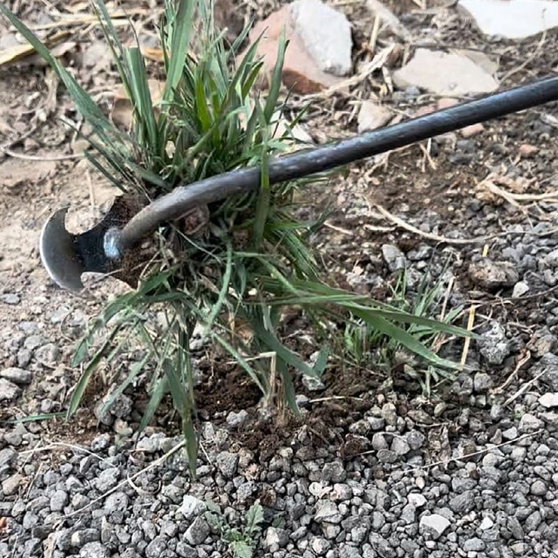 أداة نزع أعشاب معدنية للحديقة تُستخدم بوضعية الوقوف - مقبض مريح لإزالة الجذور