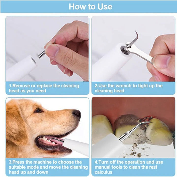 Nettoyeur de dents ultrasonique pour chien - lumière LED, capteur automatique des gencives