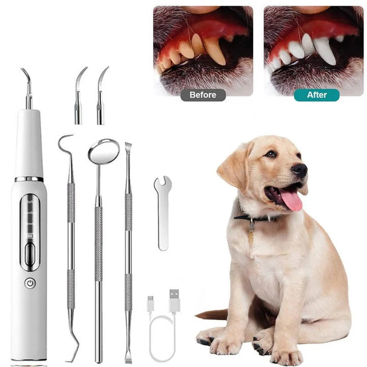 Nettoyeur de dents ultrasonique pour chien - lumière LED, capteur automatique des gencives