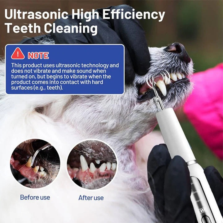 Nettoyeur de dents ultrasonique pour chien - lumière LED, capteur automatique des gencives