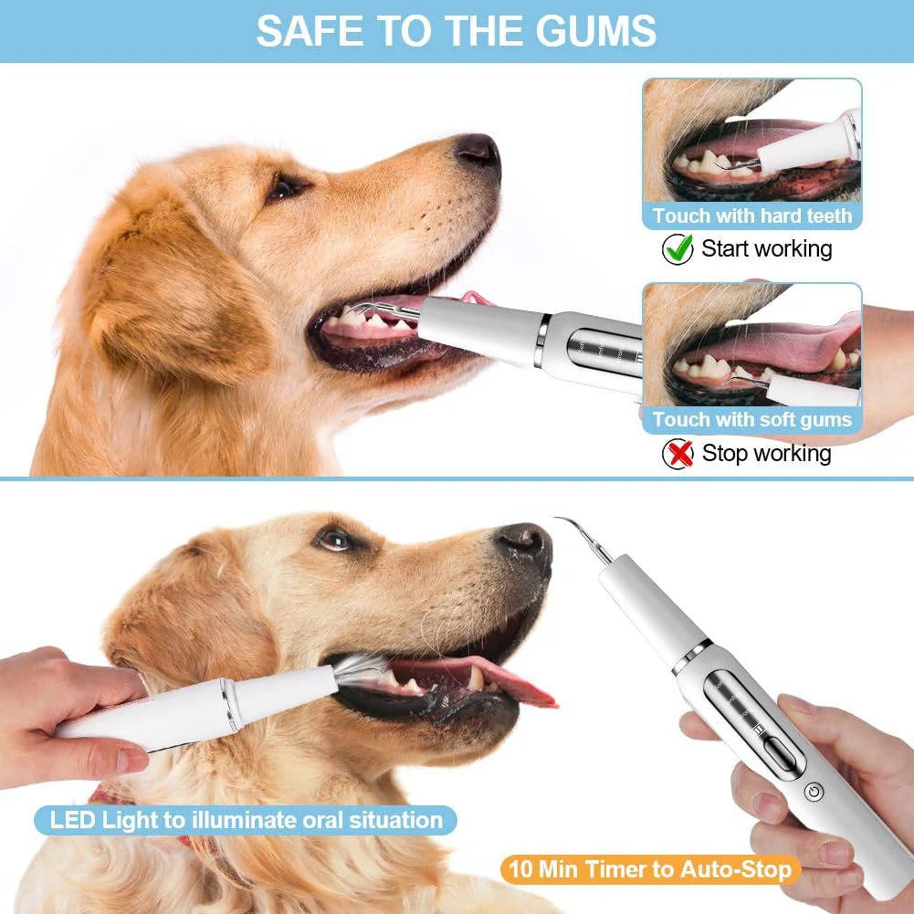 Nettoyeur de dents ultrasonique pour chien - lumière LED, capteur automatique des gencives
