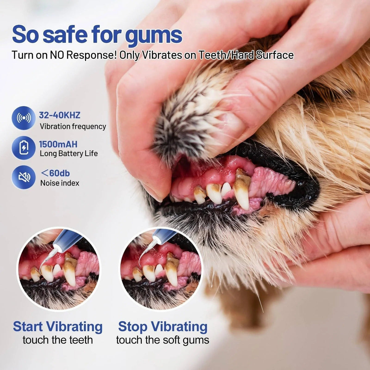 Nettoyeur de dents ultrasonique pour chien - lumière LED, capteur automatique des gencives