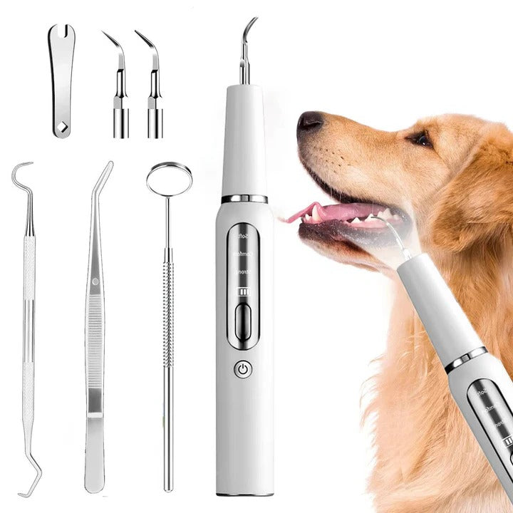 Nettoyeur de dents ultrasonique pour chien - lumière LED, capteur automatique des gencives