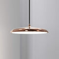 Artist 25 LED Pendant Light