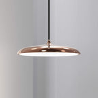 Artist 25 LED Pendant Light