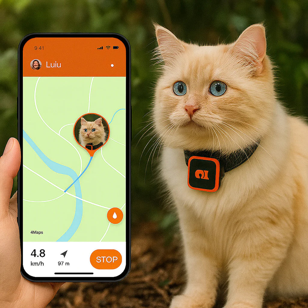 Localizzatore in tempo reale per gatti e cani di piccola taglia — avvisi con geofence, nessun costo mensile