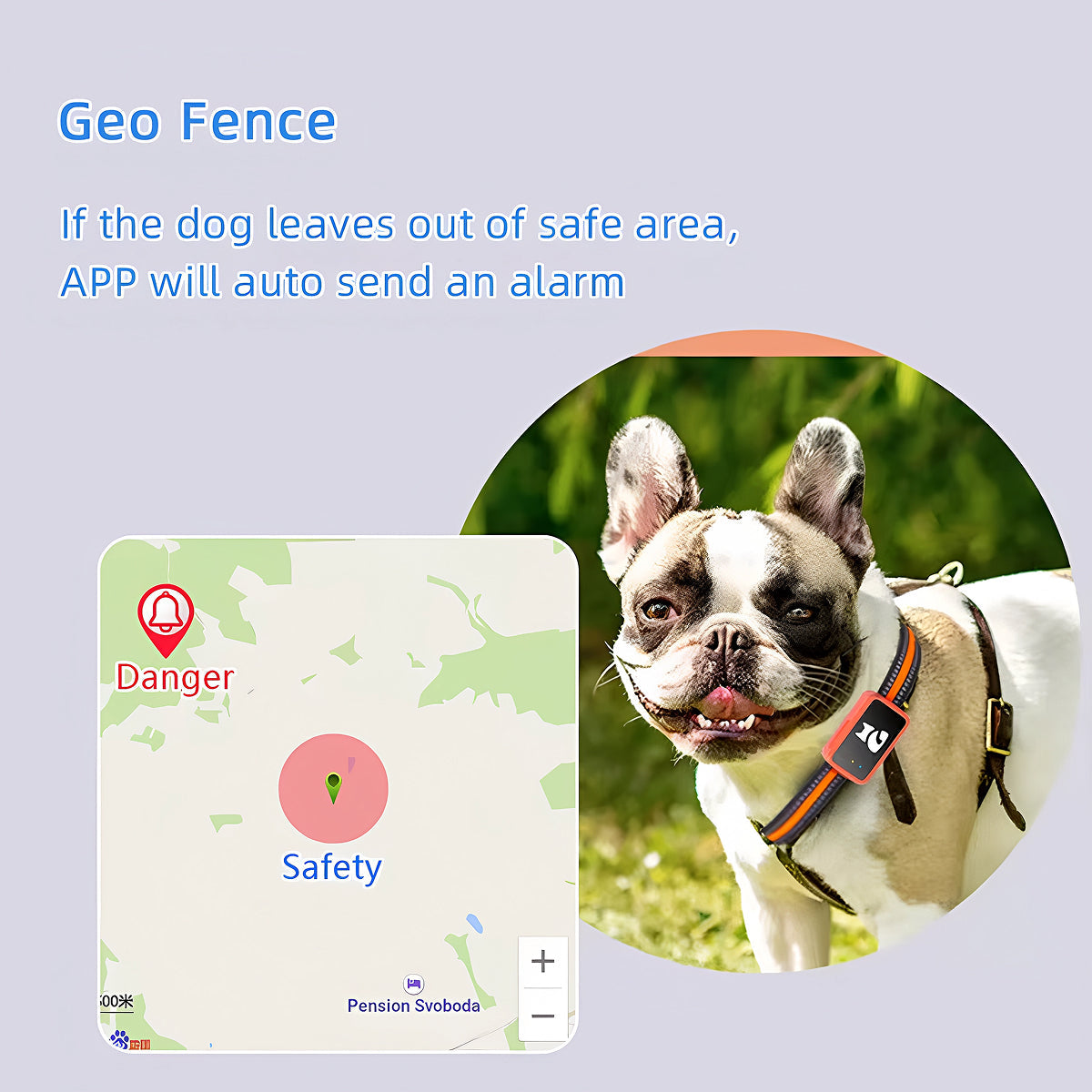 Localizzatore in tempo reale per gatti e cani di piccola taglia — avvisi con geofence, nessun costo mensile