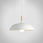 Soft Pastel Palette Pendant Lights in Metal & Wood