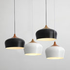 Nordic Minimalist Dome Pendant Light