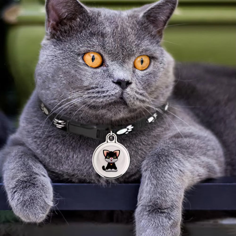 Bluetooth Cat Locator Tag — GPS Tracking and Sound Alert