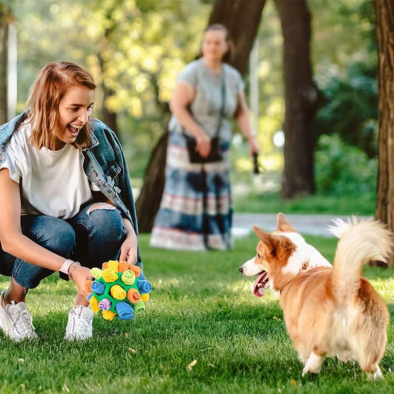 PawPlex Snuffle Mat for Dogs and Cats — Interactive Nose Work Stimulation Design