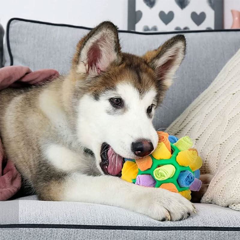 PawPlex Snuffle Mat for Dogs and Cats — Interactive Nose Work Stimulation Design