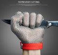 Metal Mesh Safety Glove for Cut Protection | Euroselle