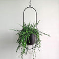 Modern plant holder with sleek minimalist form | Euroselle