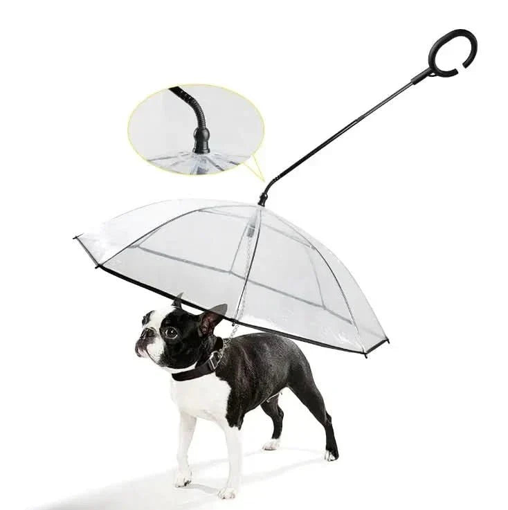 AquaShield Clear Dog Umbrella — Transparent Canopy, Leash-Attach Mount